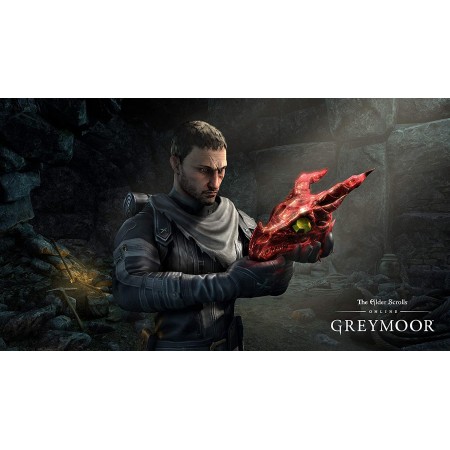 خرید استیل بوک - The Elder Scrolls Online Greymoor Steelbook Edition- PS4
