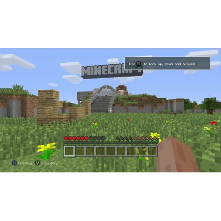 Minecraft PS4 Edition - PS4